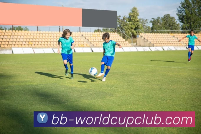 世界杯APP下载平台生态图